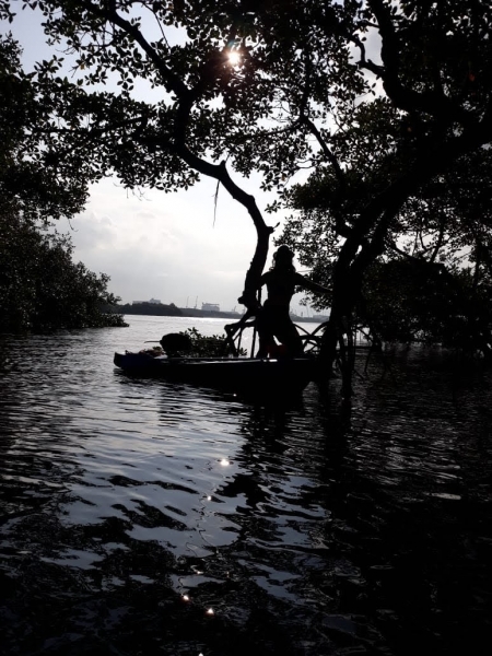 Entardecer no mangue
