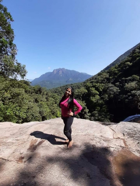 Contemplando a Vida