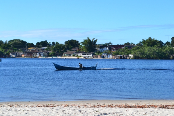 Será que o mar está para peixe?