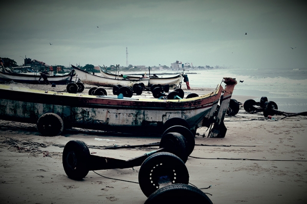 PAISAGEM-1