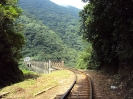 PAISAGEM