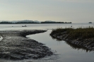 PAISAGEM
