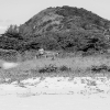 PAISAGEM
