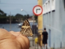 VIDA