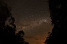 PAISAGEM