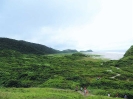 PAISAGEM