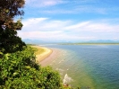 PAISAGEM