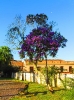 PAISAGEM