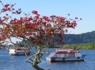 PAISAGEM