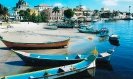 PAISAGEM-1