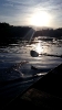 PAISAGEM-1