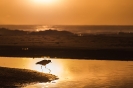 PAISAGEM-1