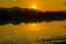 PAISAGEM-1