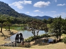 Encanto de Paz