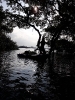 Entardecer no mangue