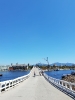 A ponte vazia na pandemia