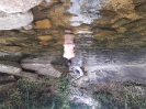 Eu e a natureza