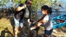 Projeto Mangue Limpo