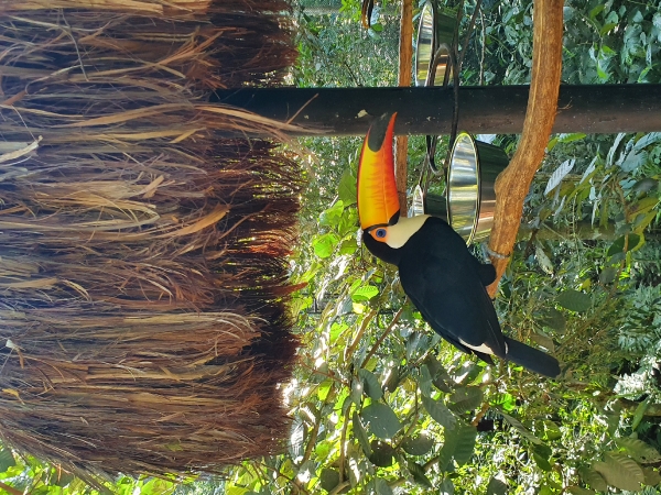 A perfeita natureza pelos dedos de Deus
