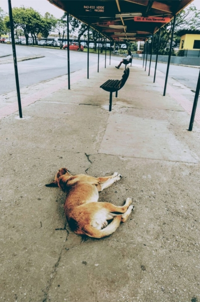 Distanciamento Social