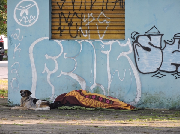 Essa amizade não escolhe classe social... protegendo seu dono