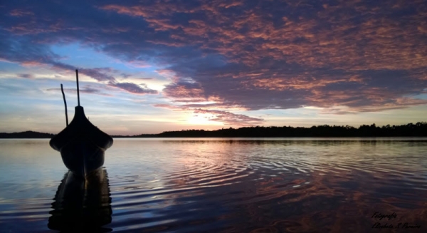 PAISAGEM