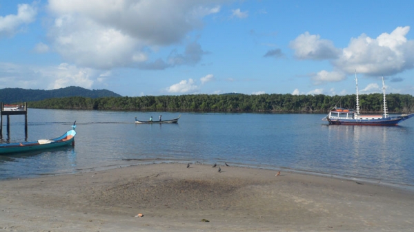 PAISAGEM
