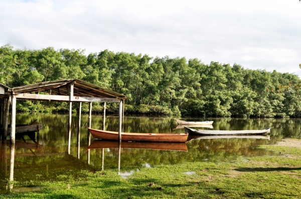 PAISAGEM