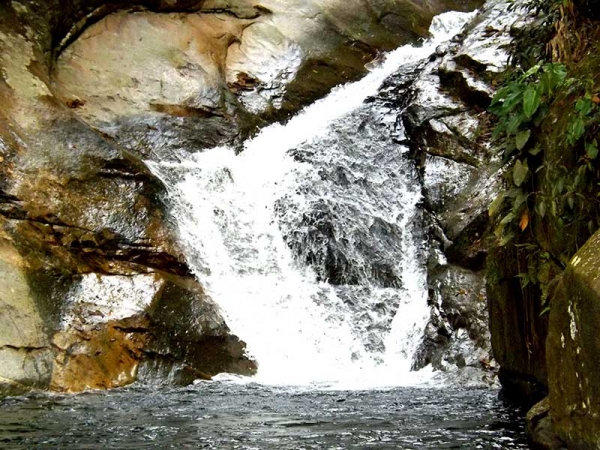 PAISAGEM