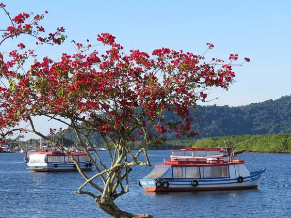 PAISAGEM