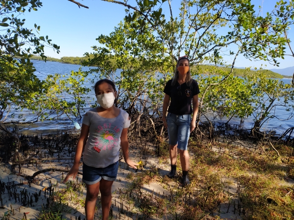 Projeto Meio Ambiente Aula Online - Passeio ecológico nos manguezais da baía de Paranaguá 